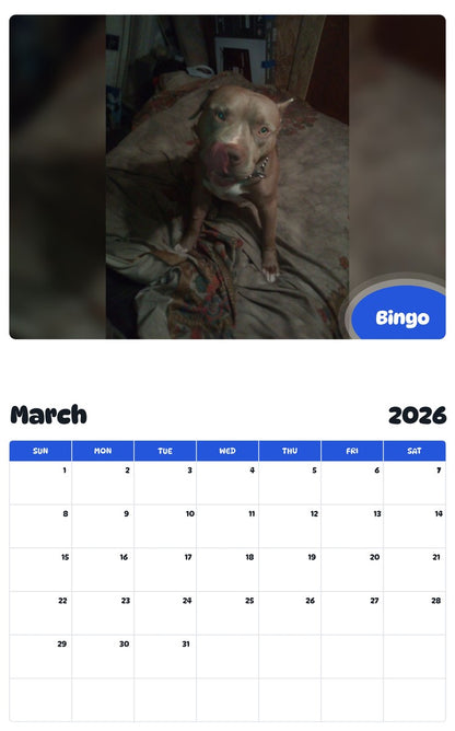 November 2025 - October 2026 Bingo - Pawidols Pet Calendar