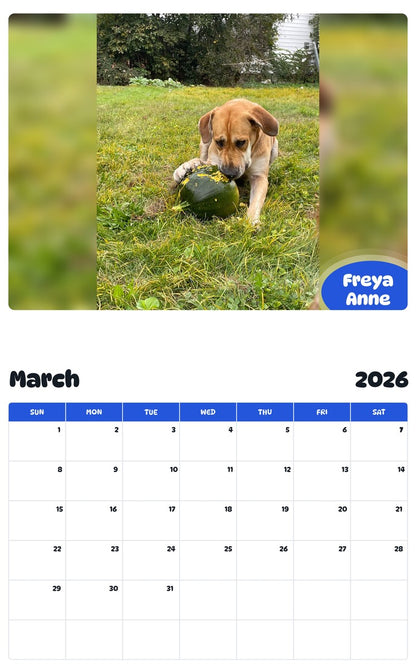 November 2025 - October 2026 Freya Anne - Pawidols Pet Calendar