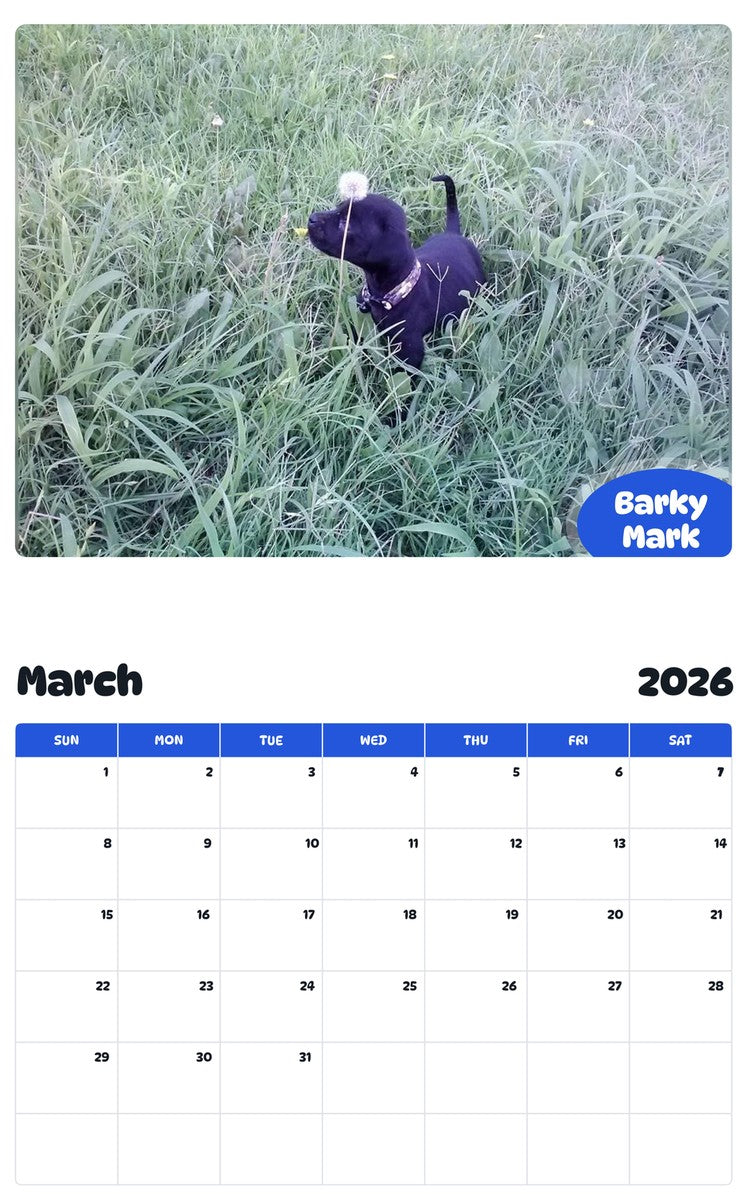 November 2025 - October 2026 Barky Mark - Pawidols Pet Calendar