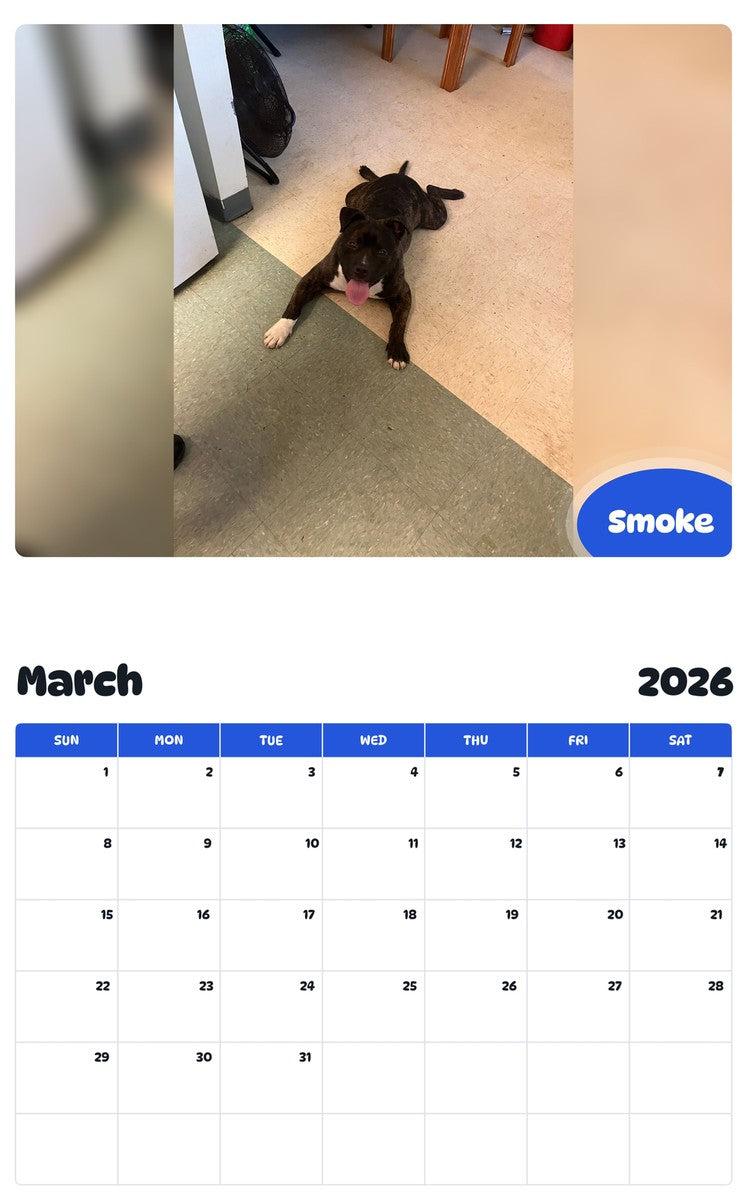 November 2025 - October 2026 Smoke - Pawidols Pet Calendar
