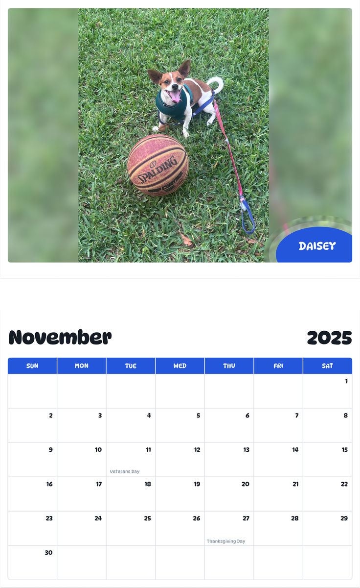 July 2025 - June 2026 Daisey - Pawidols Pet Calendar