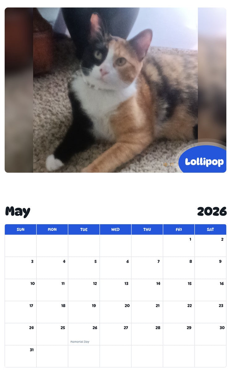 2026 - 2027 Lollipop - Pawidols Pet Calendar