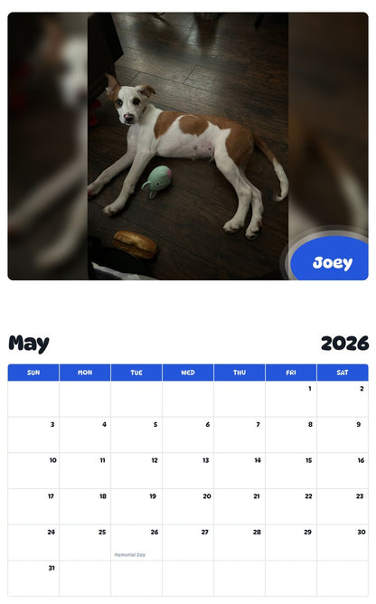 2026 - 2027 Joey - Pawidols Pet Calendar
