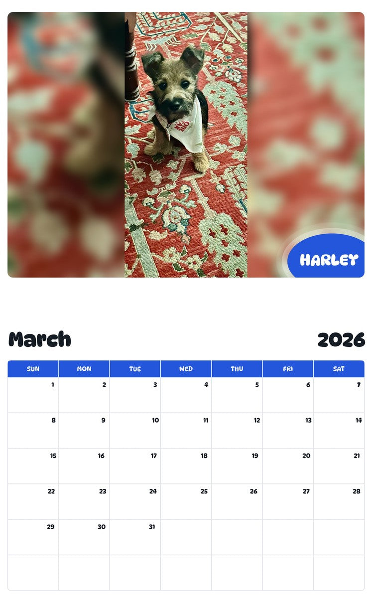 November 2025 - October 2026 HARLEY - Pawidols Pet Calendar
