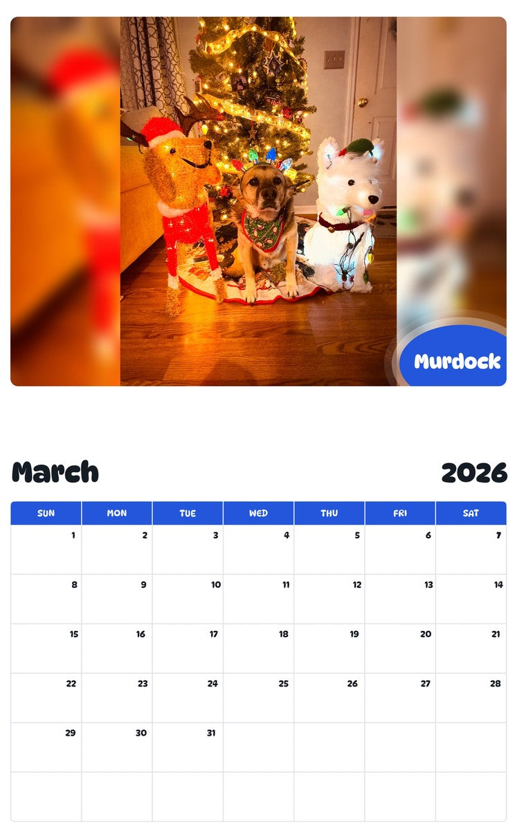 November 2025 - October 2026 Murdock - Pawidols Pet Calendar