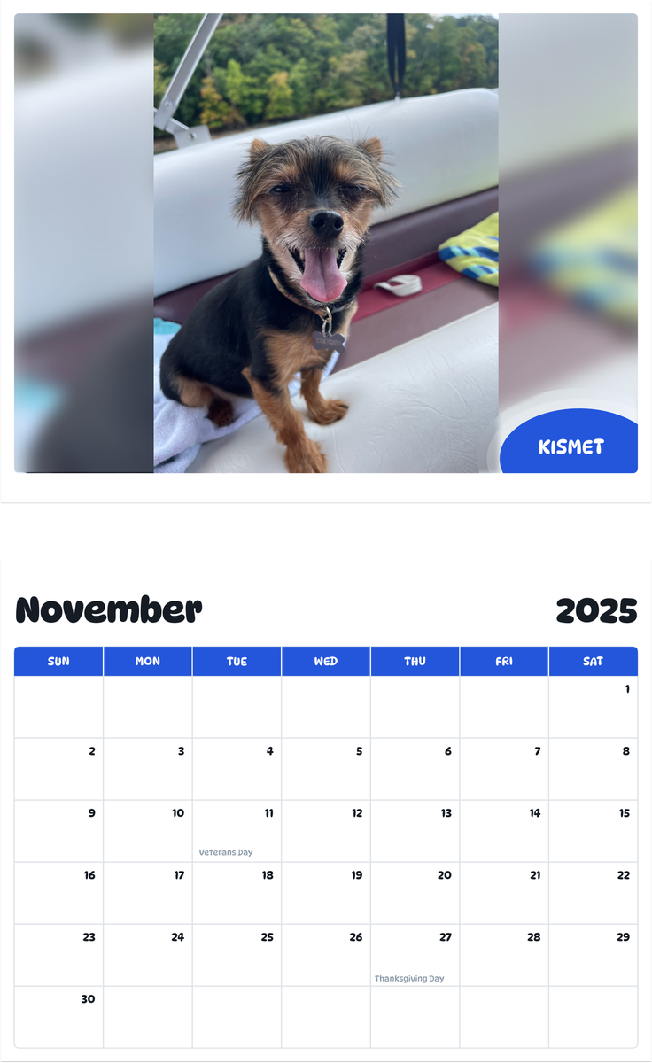 July 2025 - June 2026 Kismet - Pawidols Pet Calendar