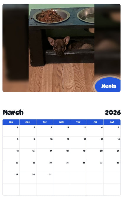 November 2025 - October 2026 Xenia - Pawidols Pet Calendar