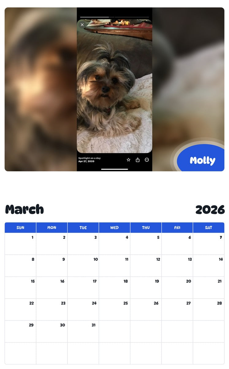 November 2025 - October 2026 Molly - Pawidols Pet Calendar