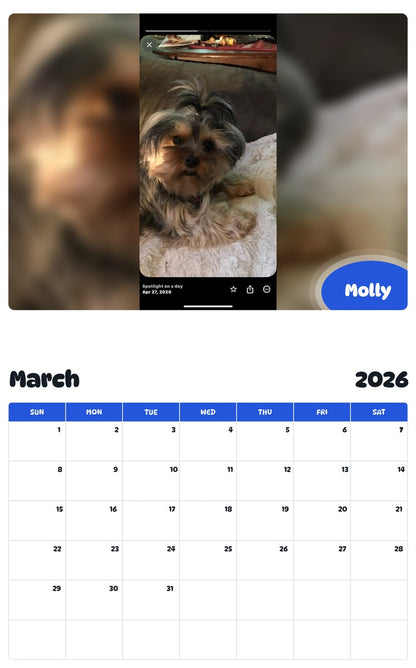 November 2025 - October 2026 Molly - Pawidols Pet Calendar
