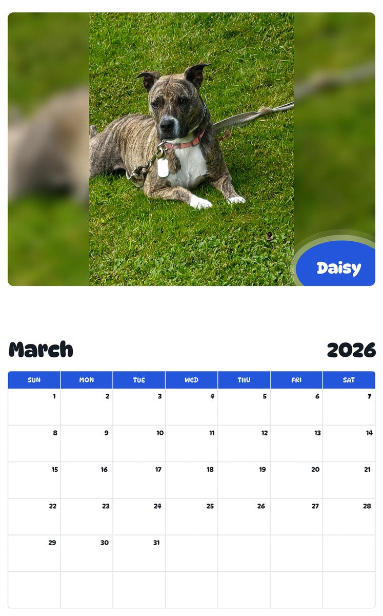 November 2025 - October 2026 Daisy - Pawidols Pet Calendar