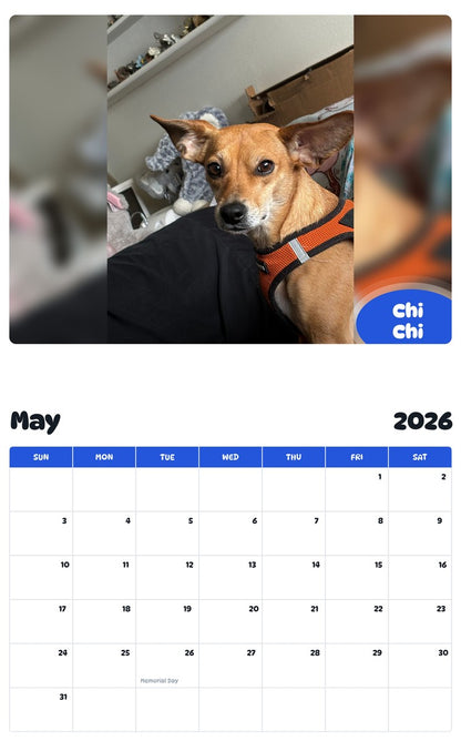 2026 - 2027 Chi Chi - Pawidols Pet Calendar