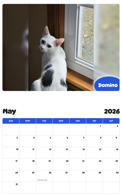 2026 - 2027 Domino - Pawidols Pet Calendar