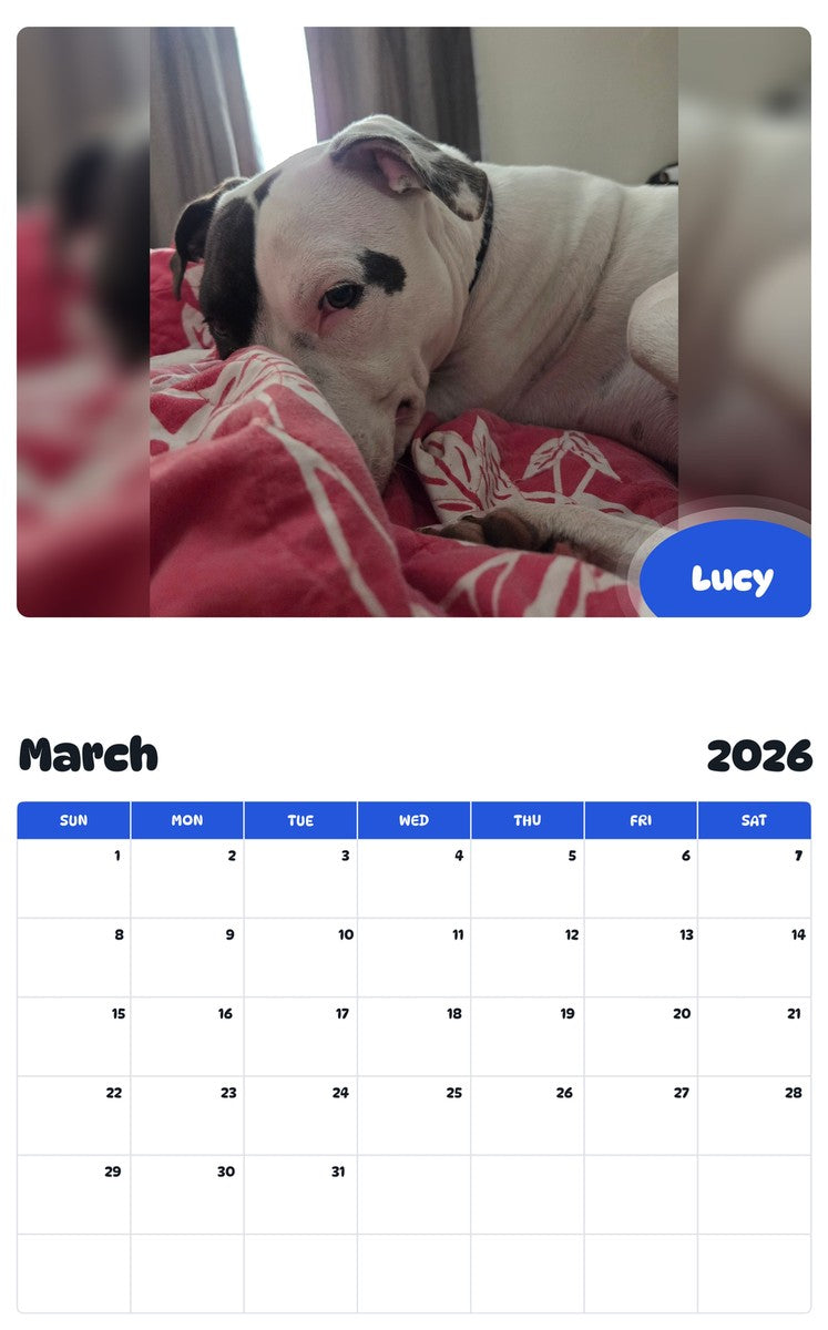 November 2025 - October 2026 Lucy - Pawidols Pet Calendar
