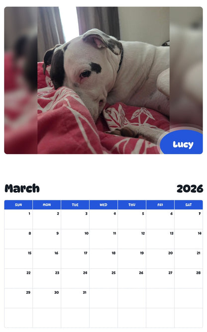 November 2025 - October 2026 Lucy - Pawidols Pet Calendar
