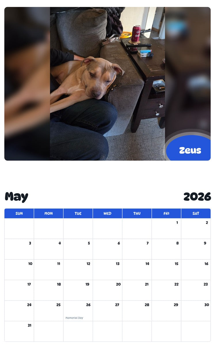 2026 - 2027 Zeus - Pawidols Pet Calendar
