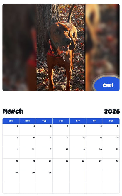 November 2025 - October 2026 Carl - Pawidols Pet Calendar