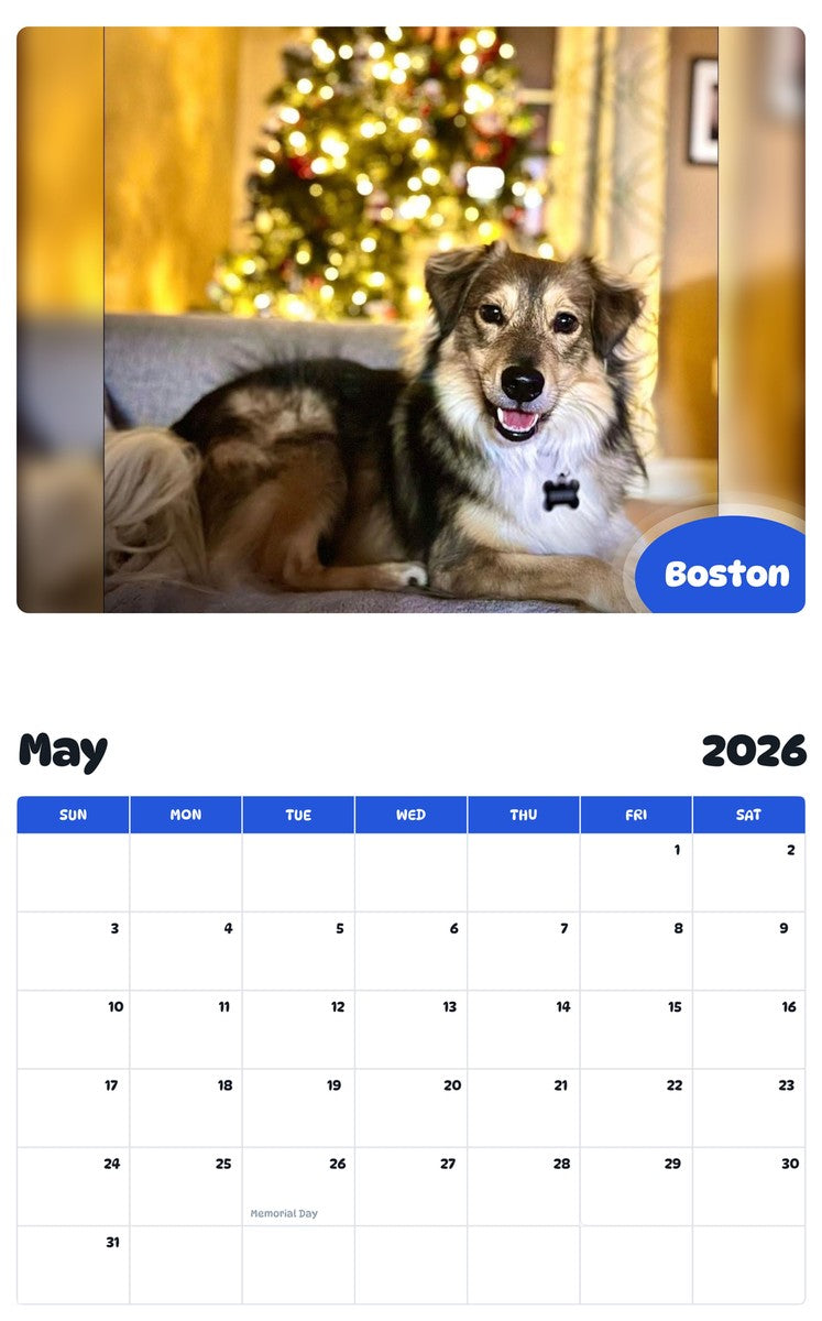 2026 - 2027 Boston - Pawidols Pet Calendar