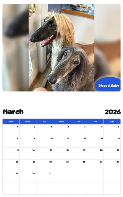 November 2025 - October 2026 Dizzy & Baby - Pawidols Pet Calendar