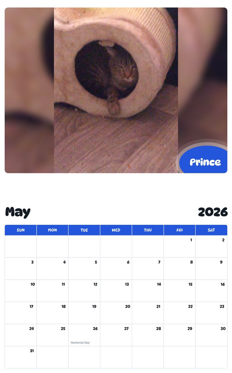 2026 - 2027 Prince - Pawidols Pet Calendar