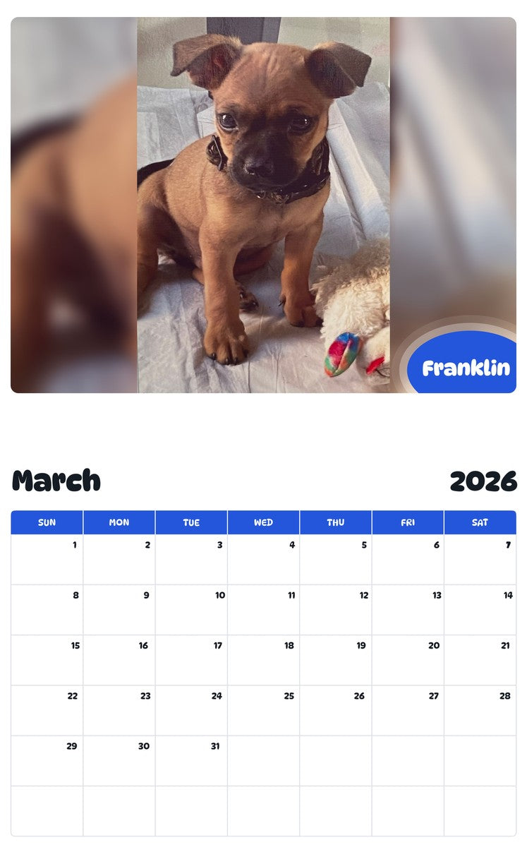 November 2025 - October 2026 Franklin - Pawidols Pet Calendar