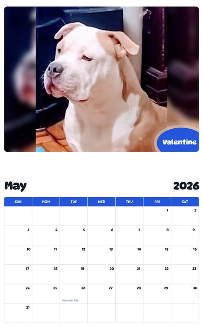 2026 - 2027 Valentine - Pawidols Pet Calendar
