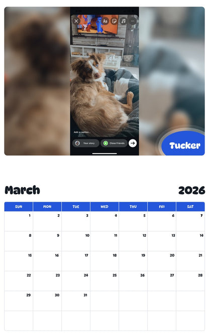 November 2025 - October 2026 Tucker - Pawidols Pet Calendar