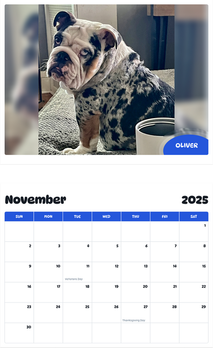 July 2025 - June 2026 Oliver - Pawidols Pet Calendar