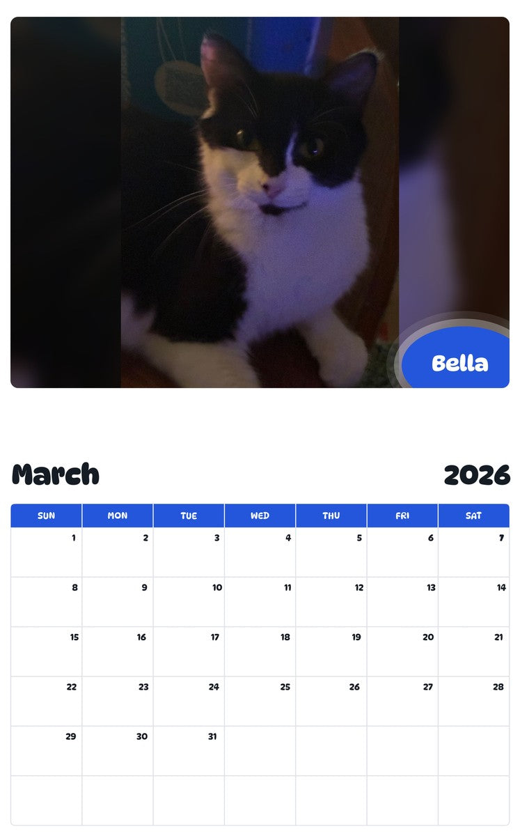 November 2025 - October 2026 Bella - Pawidols Pet Calendar