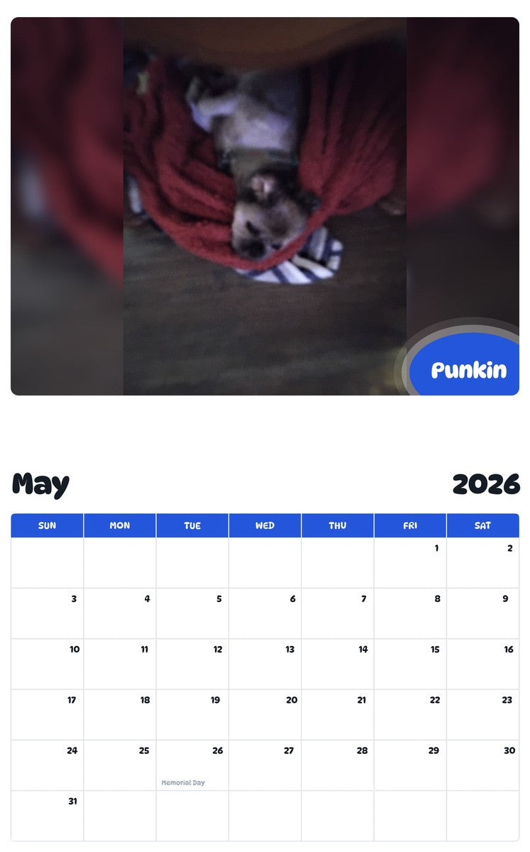 2026 - 2027 Punkin - Pawidols Pet Calendar