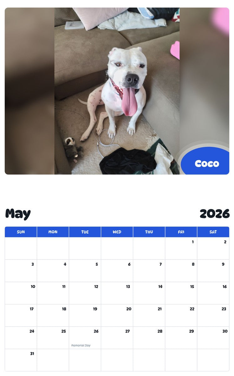 2026 - 2027 Coco - Pawidols Pet Calendar