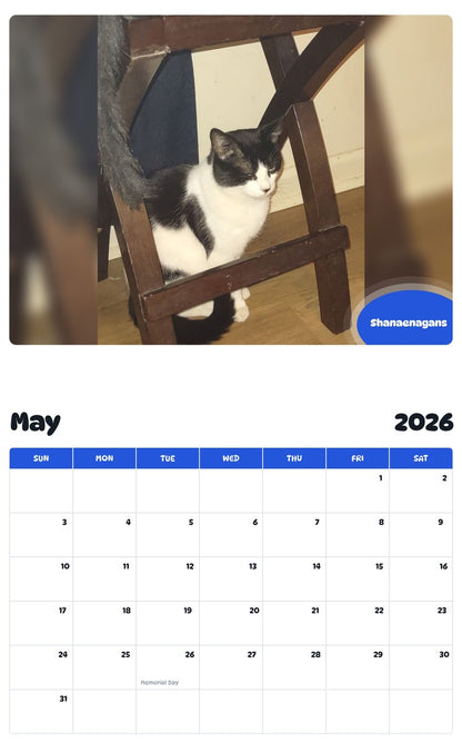 2026 - 2027 Shanaenagans - Pawidols Pet Calendar