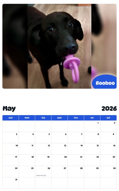 2026 - 2027 Booboo - Pawidols Pet Calendar