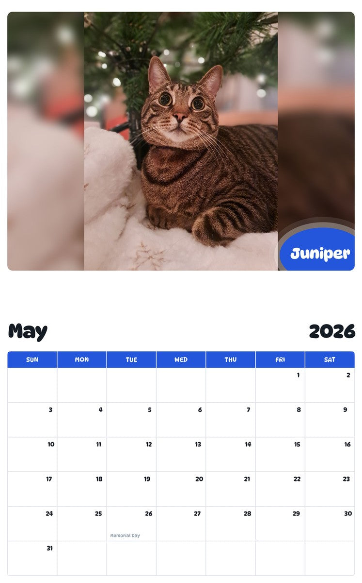 2026 - 2027 Juniper - Pawidols Pet Calendar