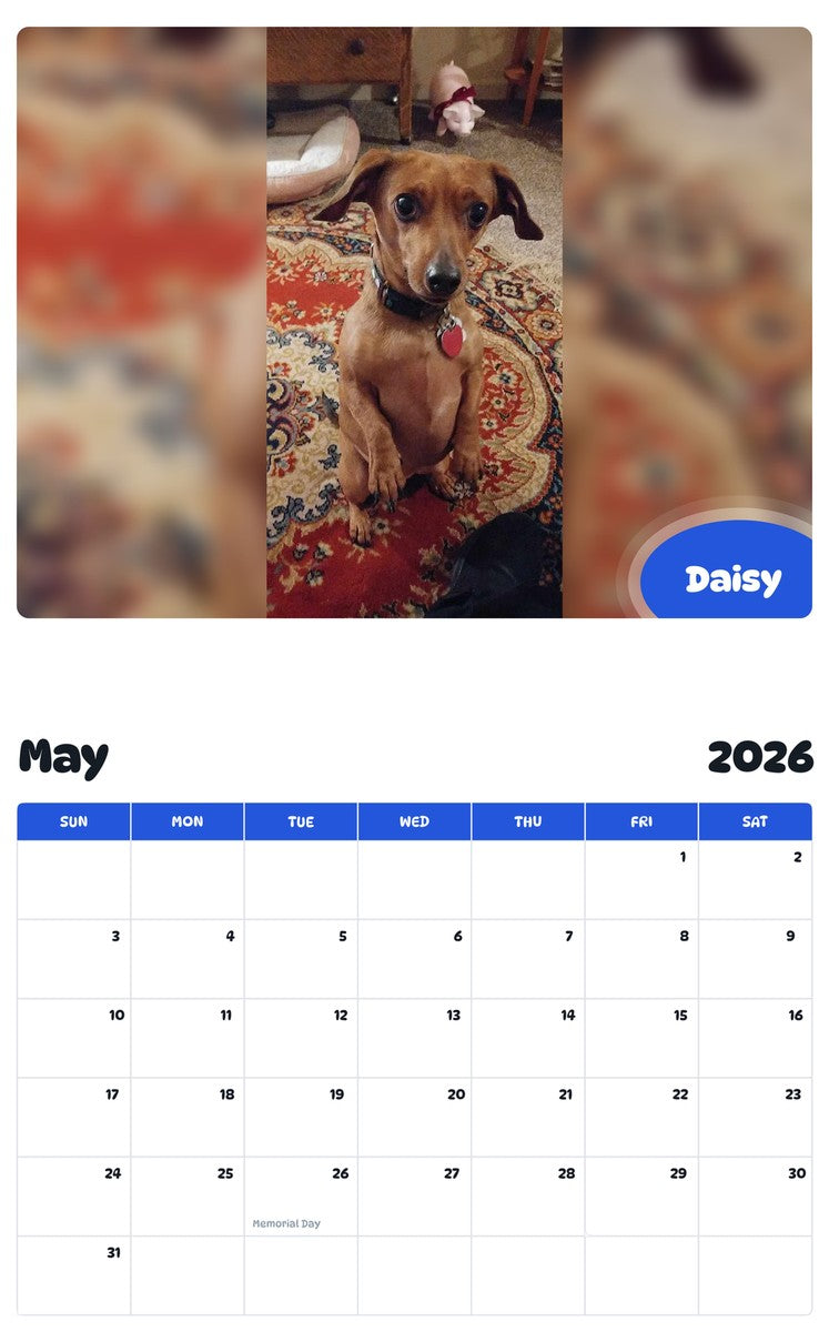 2026 - 2027 Daisy - Pawidols Pet Calendar