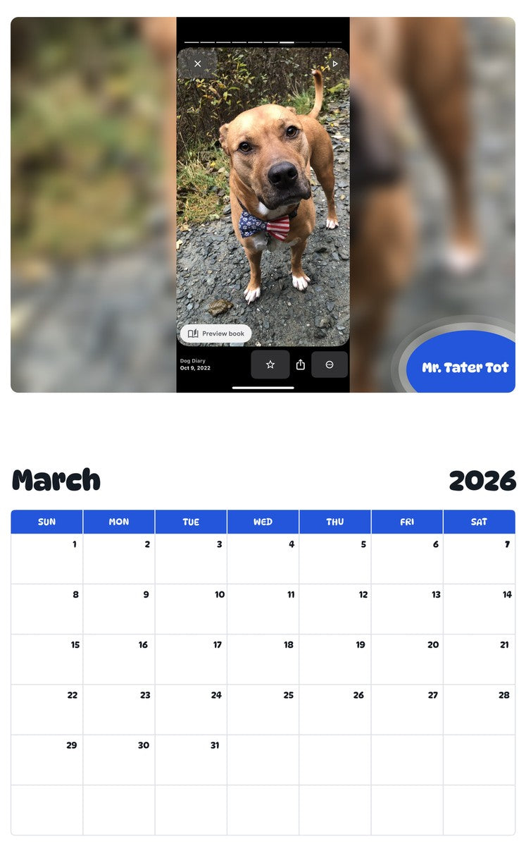 November 2025 - October 2026 Mr. Tater Tot - Pawidols Pet Calendar