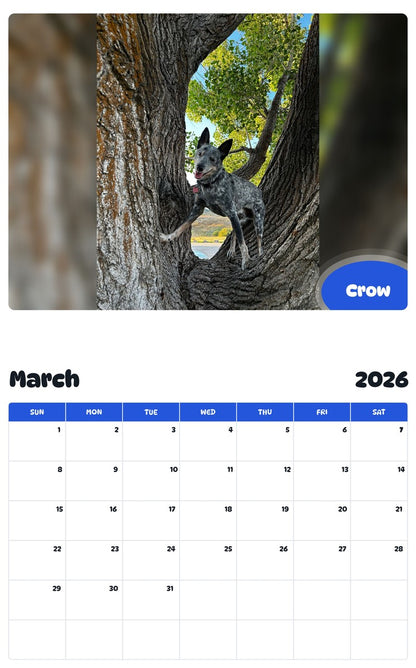 November 2025 - October 2026 Crow - Pawidols Pet Calendar