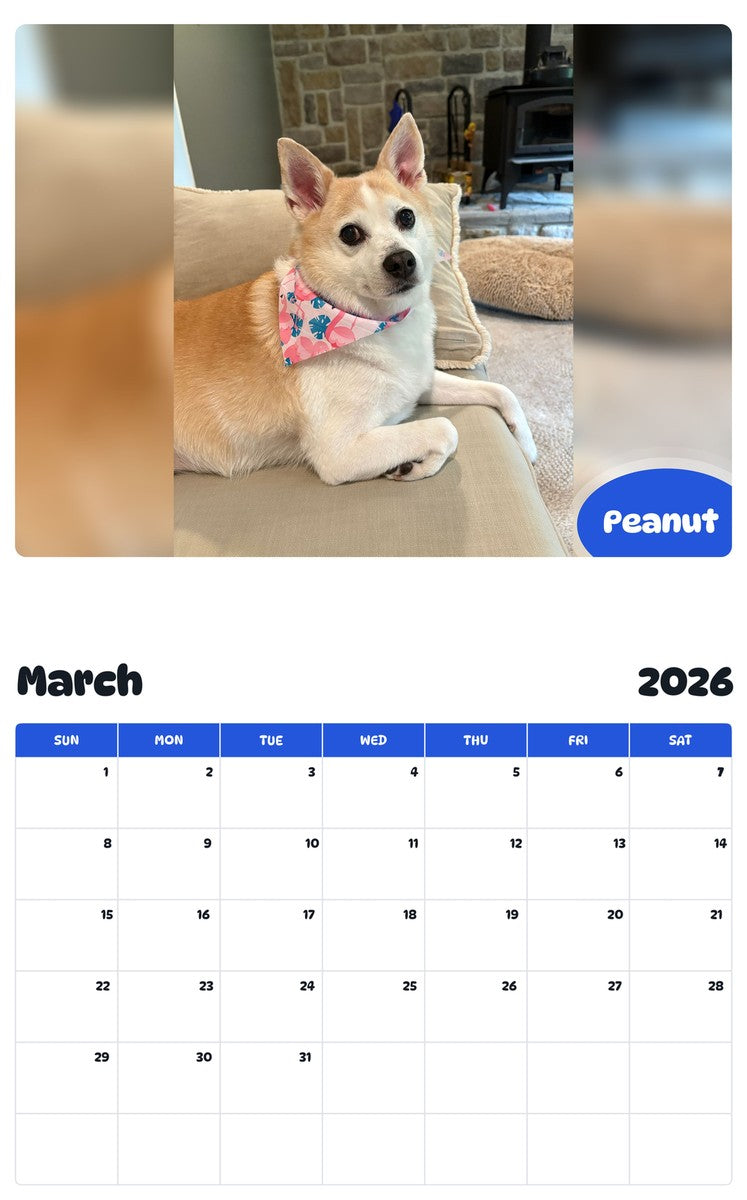 November 2025 - October 2026 Peanut - Pawidols Pet Calendar