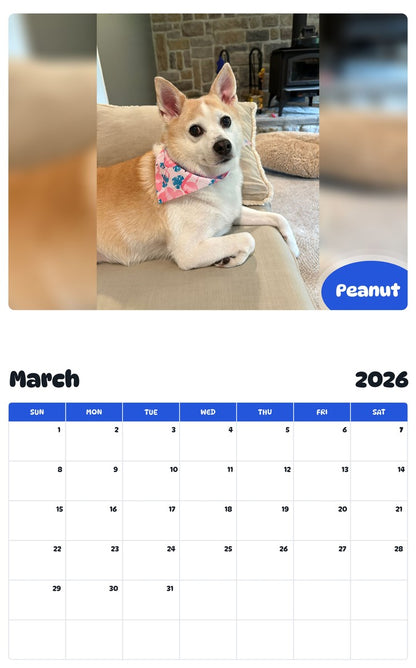 November 2025 - October 2026 Peanut - Pawidols Pet Calendar