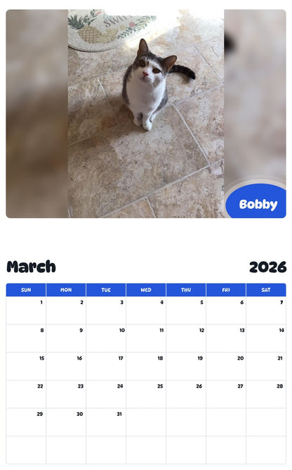November 2025 - October 2026 Bobby - Pawidols Pet Calendar