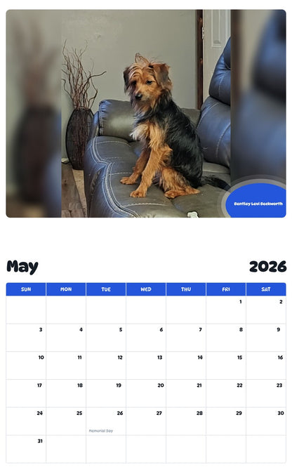 2026 - 2027 Bentley Levi Beckworth - Pawidols Pet Calendar