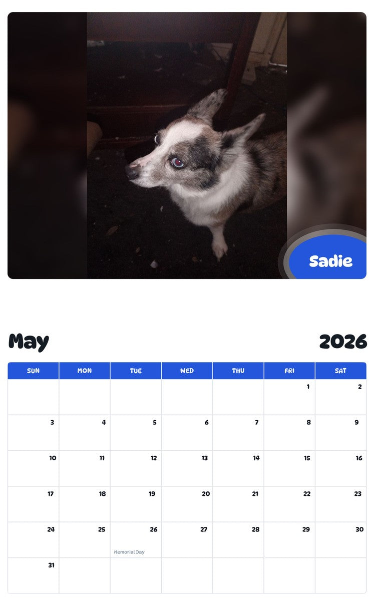2026 - 2027 Sadie - Pawidols Pet Calendar