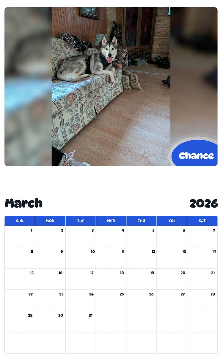 November 2025 - October 2026 Chance - Pawidols Pet Calendar