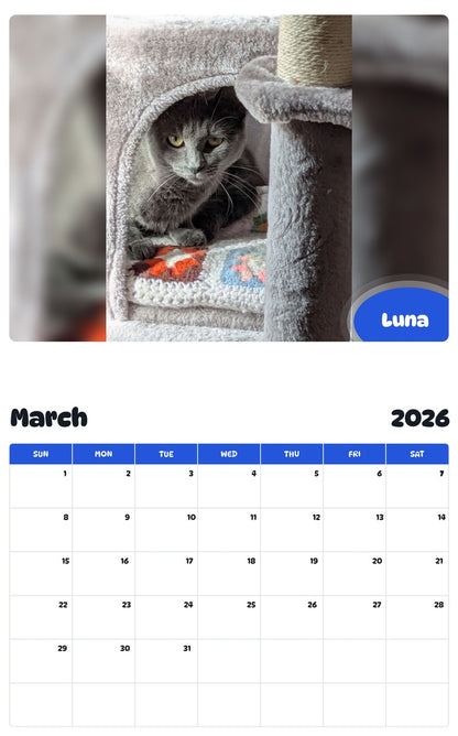 November 2025 - October 2026 Luna - Pawidols Pet Calendar