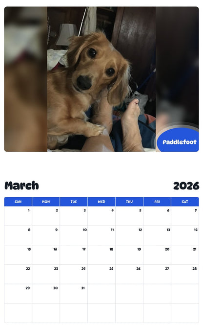 November 2025 - October 2026 Paddlefoot - Pawidols Pet Calendar