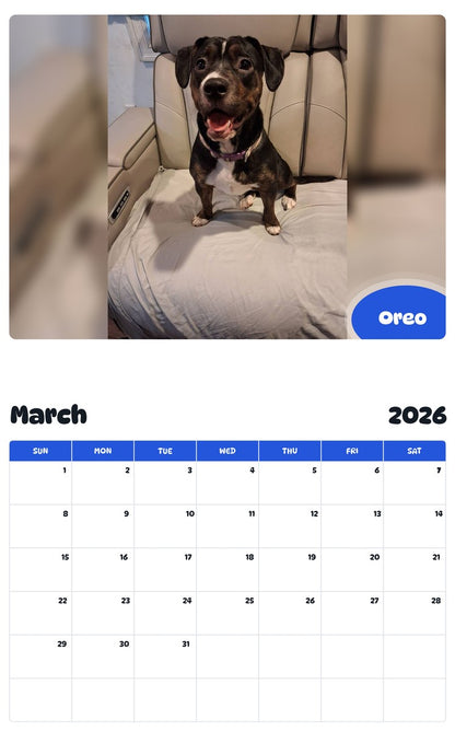 November 2025 - October 2026 Oreo - Pawidols Pet Calendar