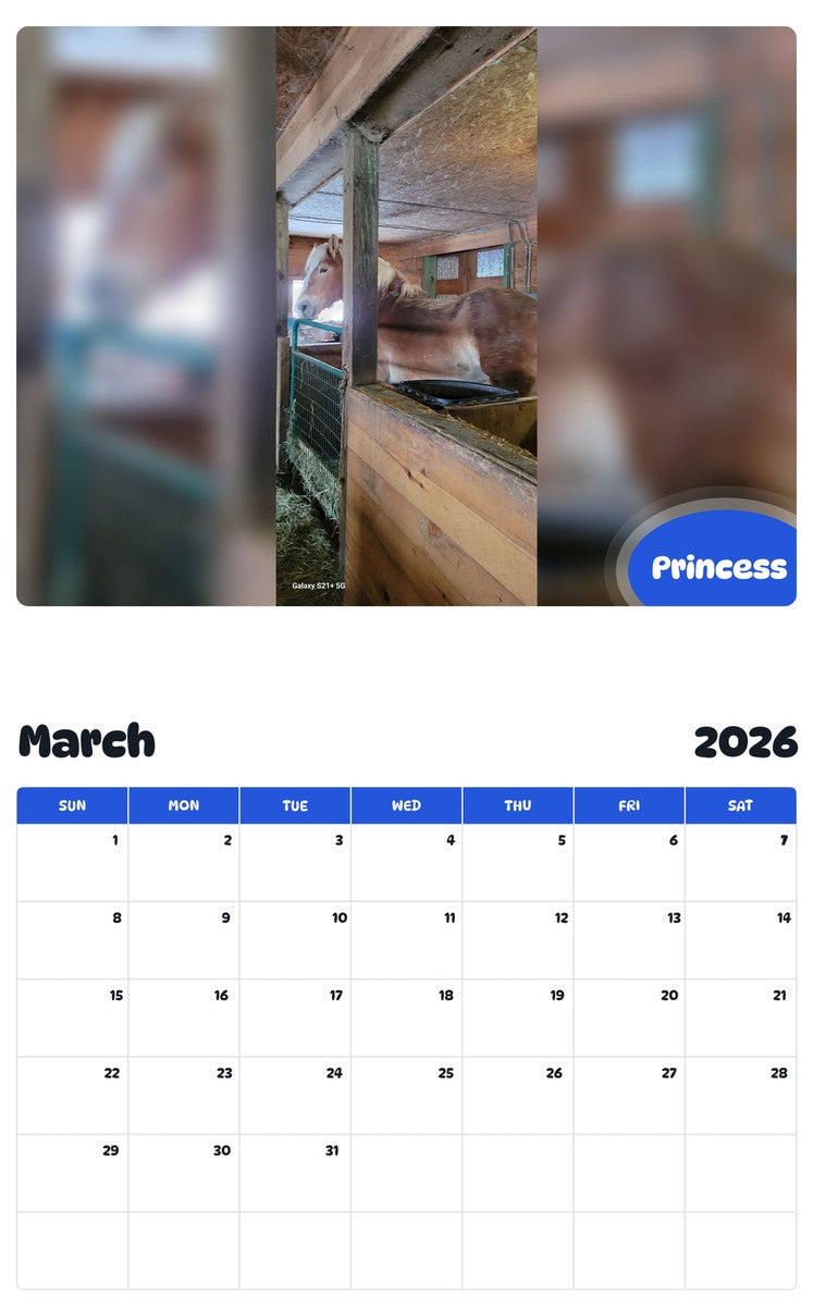 November 2025 - October 2026 Princess - Pawidols Pet Calendar