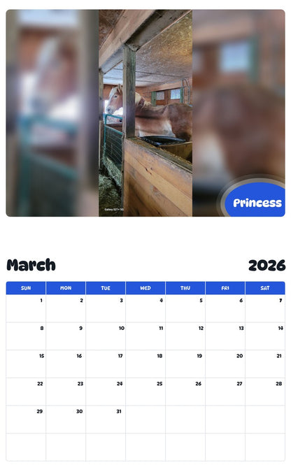 November 2025 - October 2026 Princess - Pawidols Pet Calendar