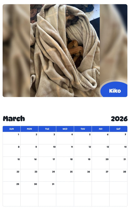 November 2025 - October 2026 Kiko - Pawidols Pet Calendar