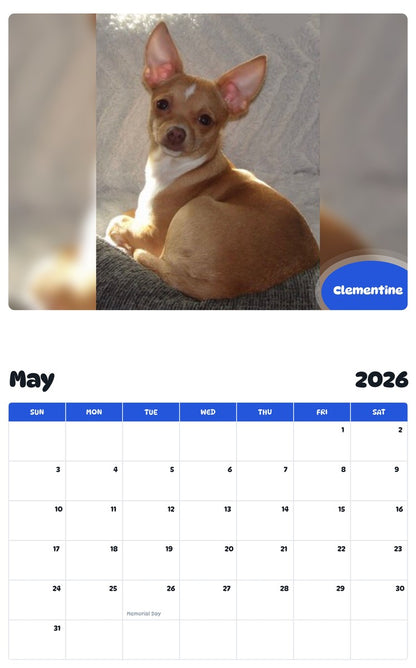 2026 - 2027 Clementine - Pawidols Pet Calendar