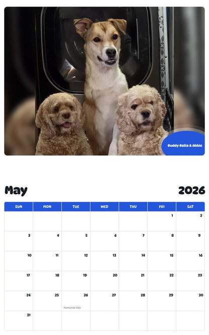 2026 - 2027 Buddy Bella & Abbie - Pawidols Pet Calendar